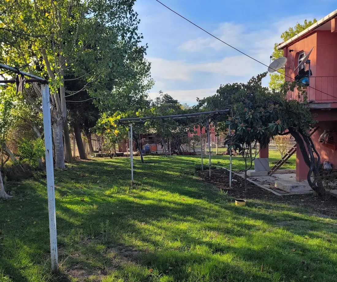 Farm for sale in Silivri